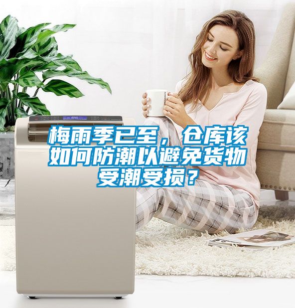 梅雨季已至，仓库该如何防潮以避免货物受潮受损？