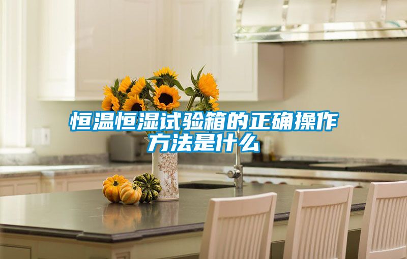 恒温恒湿试验箱的正确操作方法是什么