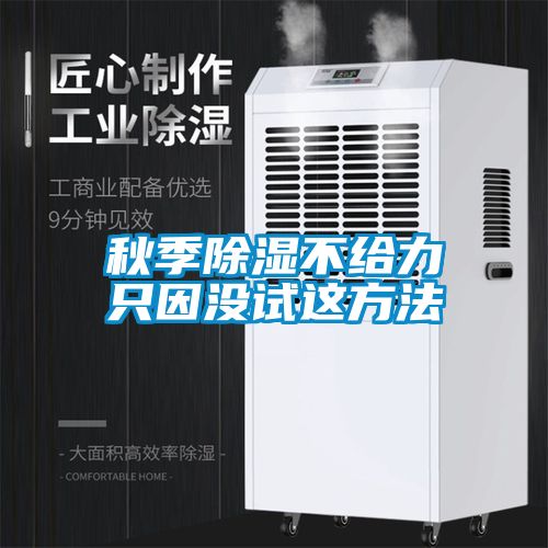 秋季除湿不给力只因没试这方法