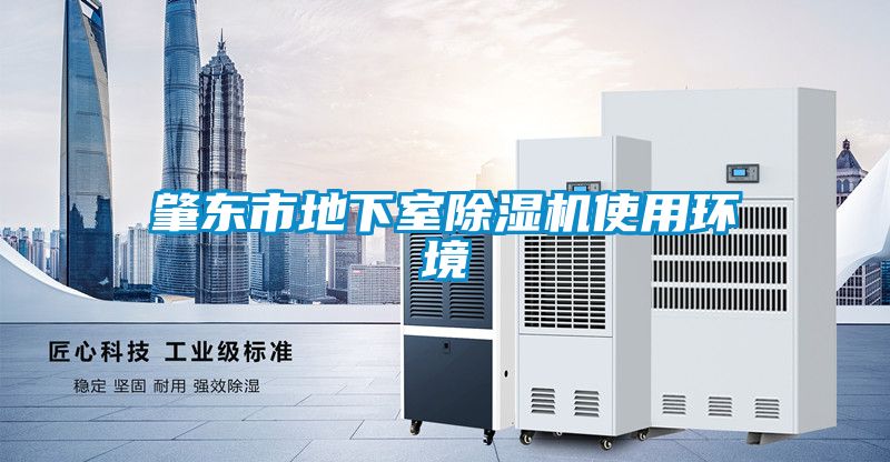 肇东市地下室除湿机使用环境