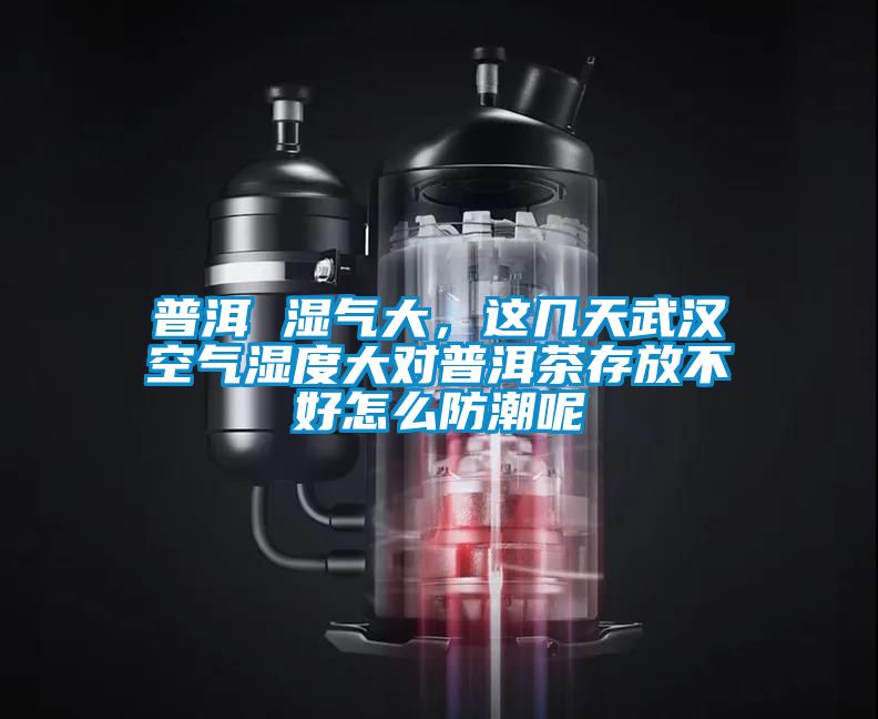 普洱 湿气大，这几天武汉空气湿度大对普洱茶存放不好怎么防潮呢
