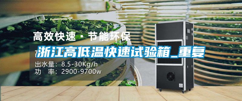 浙江高低温快速试验箱_重复