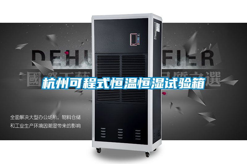 杭州可程式恒温恒湿试验箱