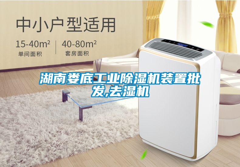 湖南娄底工业除湿机装置批发,去湿机