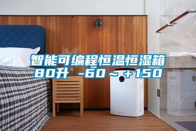 智能可编程恒温恒湿箱80升 -60～＋150℃