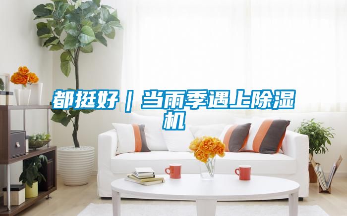 都挺好｜当雨季遇上除湿机