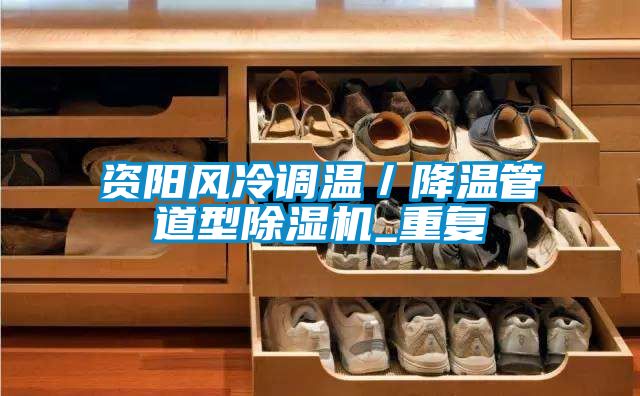 资阳风冷调温／降温管道型除湿机_重复