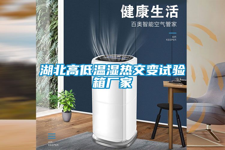 湖北高低温湿热交变试验箱厂家