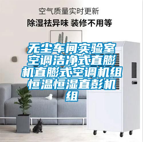 无尘车间实验室空调洁净式直膨机直膨式空调机组恒温恒湿直彭机组