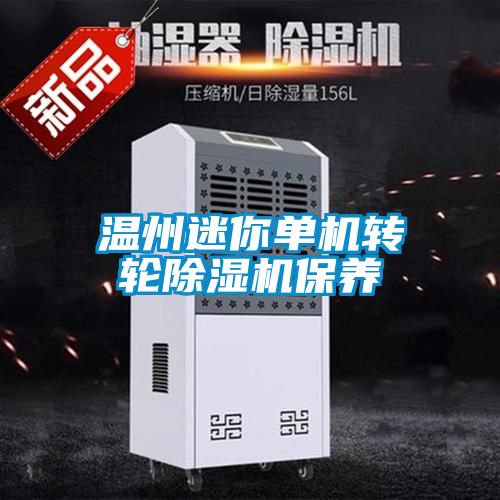 温州迷你单机转轮除湿机保养