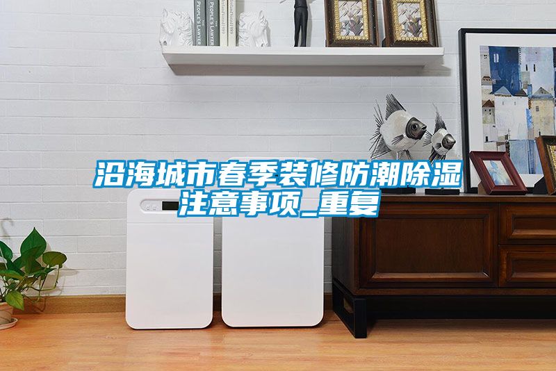沿海城市春季装修防潮除湿注意事项_重复
