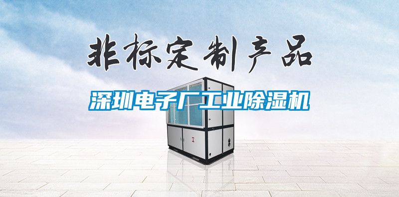 深圳电子厂工业除湿机