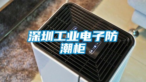 深圳工业电子防潮柜