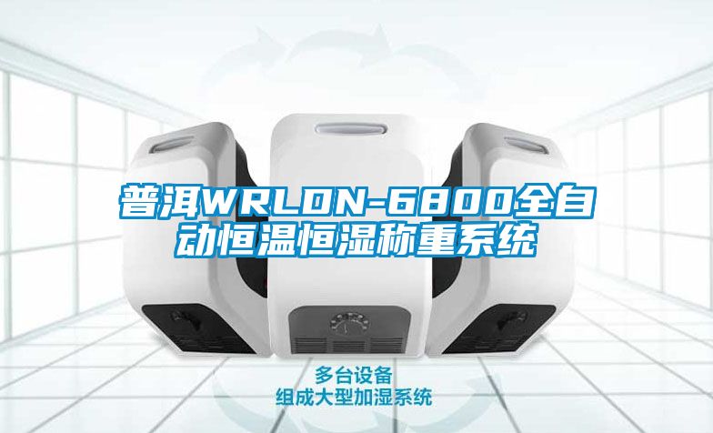 普洱WRLDN-6800全自动恒温恒湿称重系统