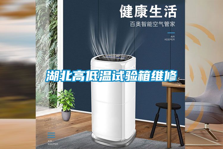 湖北高低温试验箱维修