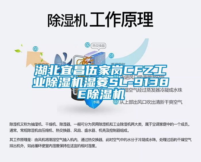 湖北宜昌伍家岗CFZ工业除湿机湿菱SL-9138E除湿机