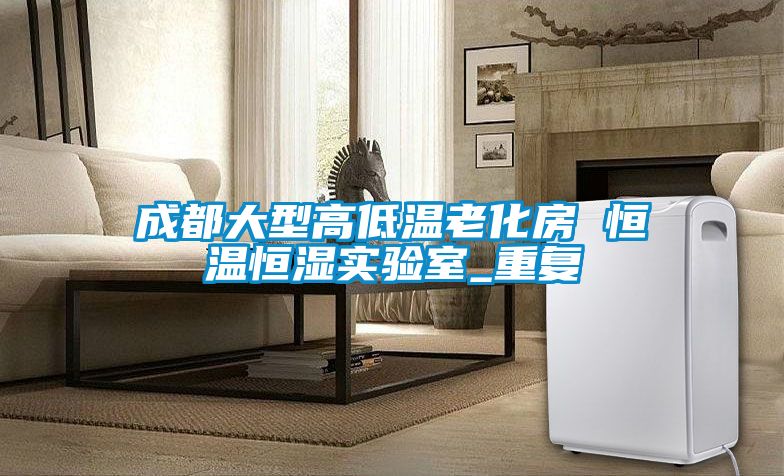 成都大型高低温老化房 恒温恒湿实验室_重复