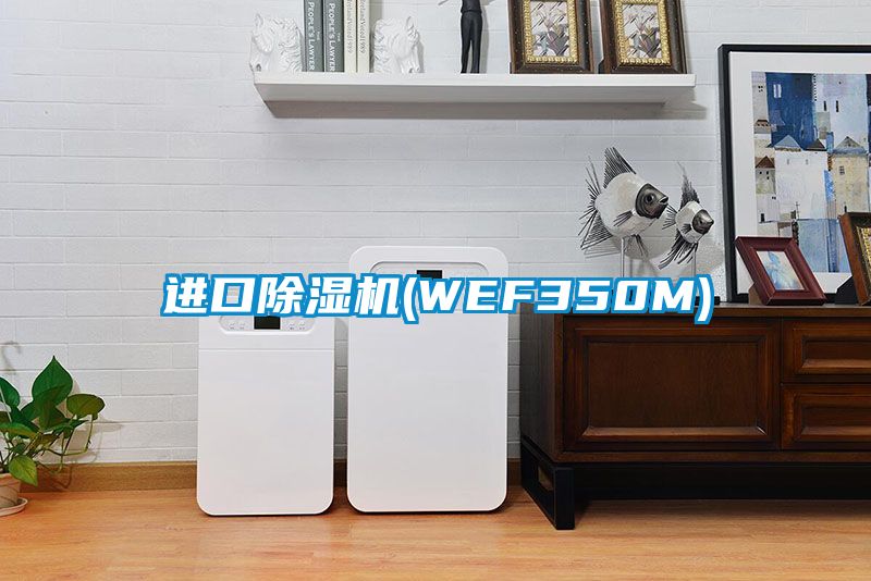 进口除湿机(WEF350M)