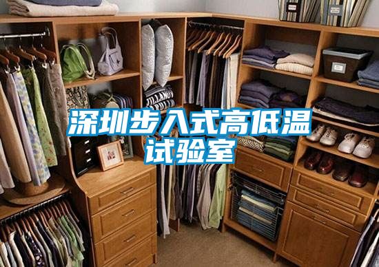 深圳步入式高低温试验室