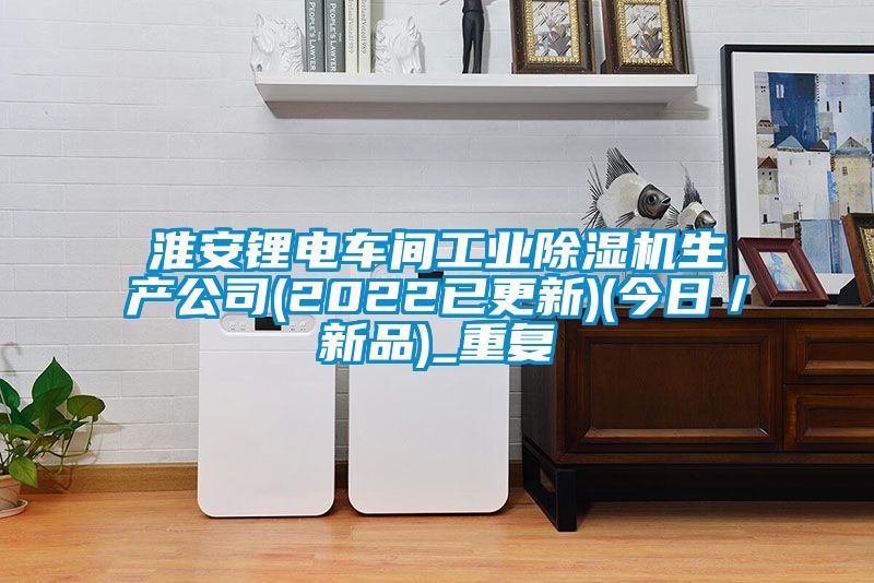 淮安锂电车间工业除湿机生产公司(2022已更新)(今日／新品)_重复
