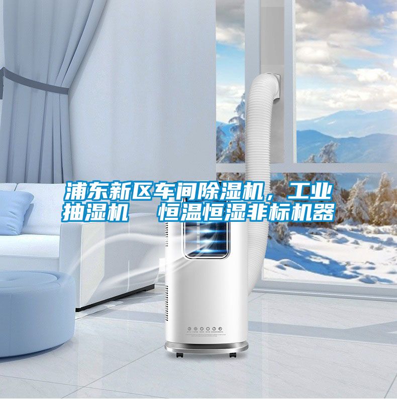 浦东新区车间除湿机，工业抽湿机  恒温恒湿非标机器
