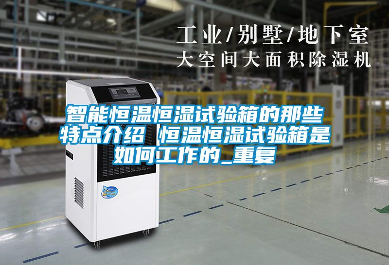 智能恒温恒湿试验箱的那些特点介绍 恒温恒湿试验箱是如何工作的_重复
