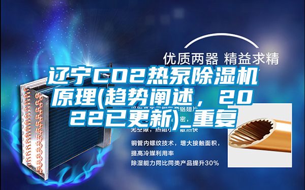 辽宁CO2热泵除湿机原理(趋势阐述，2022已更新)_重复