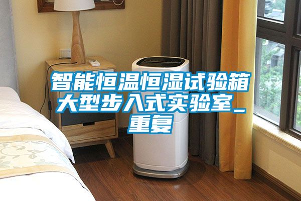 智能恒温恒湿试验箱大型步入式实验室_重复