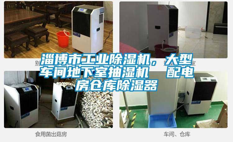 淄博市工业除湿机，大型车间地下室抽湿机  配电房仓库除湿器