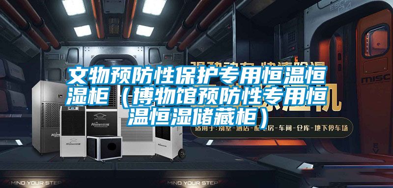 文物预防性保护专用恒温恒湿柜（博物馆预防性专用恒温恒湿储藏柜）