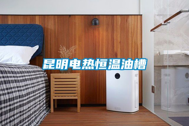 昆明电热恒温油槽