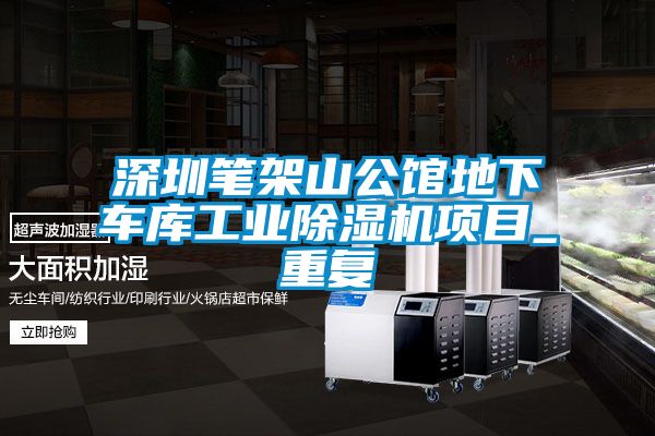 深圳笔架山公馆地下车库工业除湿机项目_重复
