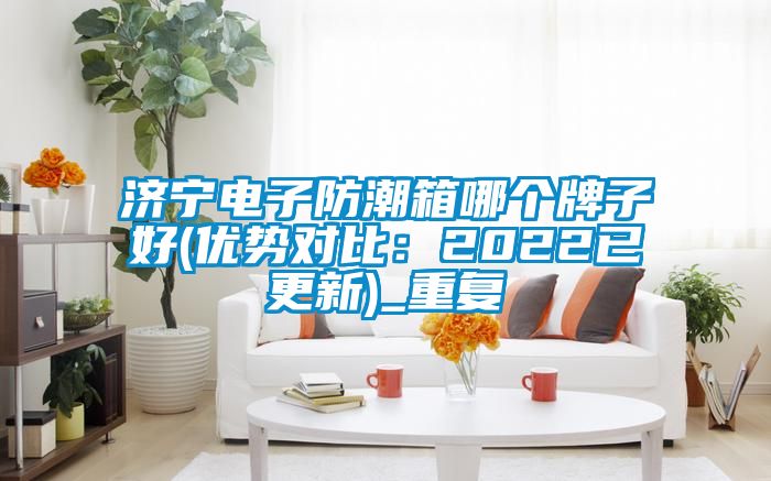 济宁电子防潮箱哪个牌子好(优势对比：2022已更新)_重复