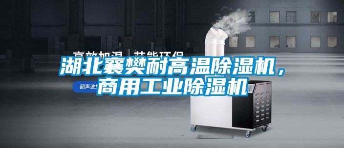 湖北襄樊耐高温除湿机，商用工业除湿机