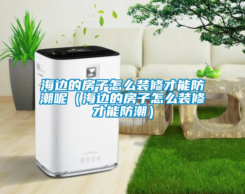 海边的房子怎么装修才能防潮呢（海边的房子怎么装修才能防潮）