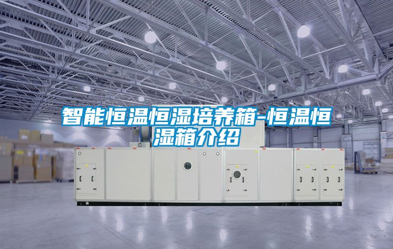 智能恒温恒湿培养箱-恒温恒湿箱介绍