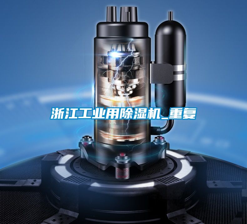 浙江工业用除湿机_重复