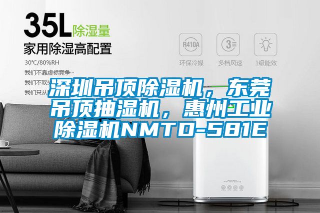 深圳吊顶除湿机，东莞吊顶抽湿机，惠州工业除湿机NMTD-581E