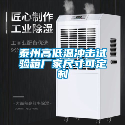 泰州高低温冲击试验箱厂家尺寸可定制