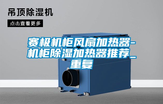 赛极机柜风扇加热器-机柜除湿加热器推荐_重复