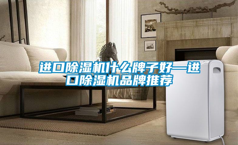 进口除湿机什么牌子好—进口除湿机品牌推荐