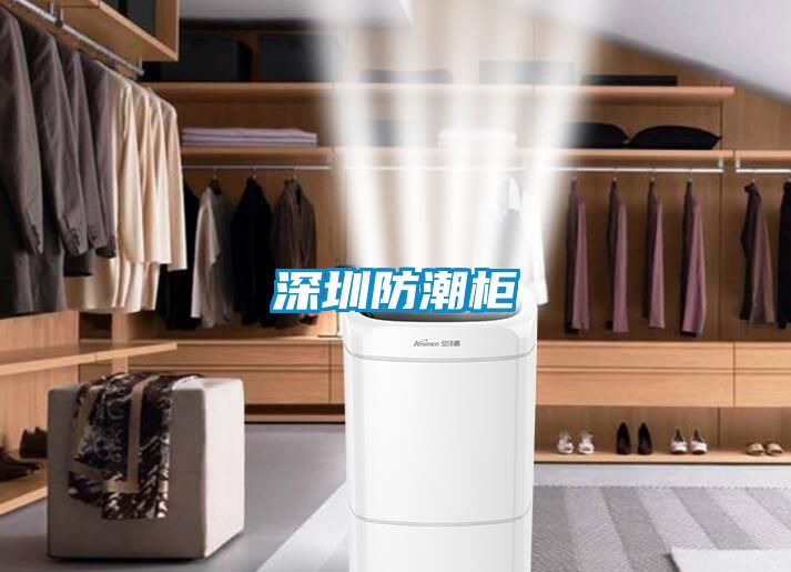 深圳防潮柜