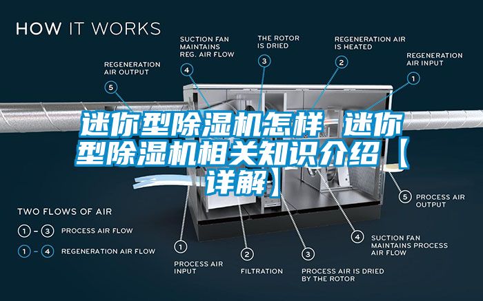 迷你型除湿机怎样 迷你型除湿机相关知识介绍【详解】