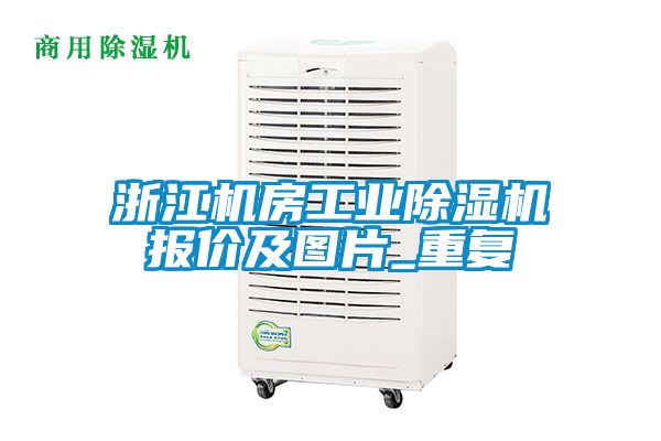 浙江机房工业除湿机报价及图片_重复
