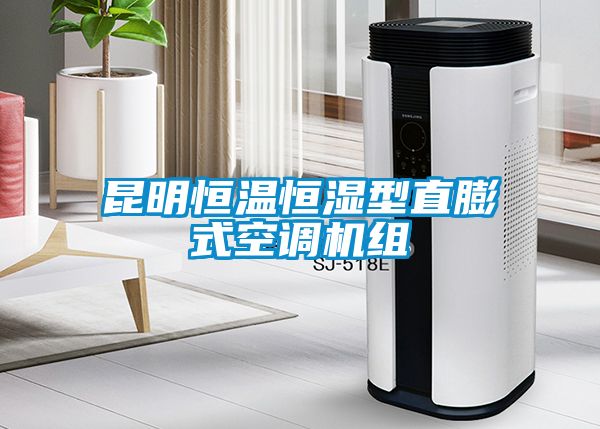 昆明恒温恒湿型直膨式空调机组