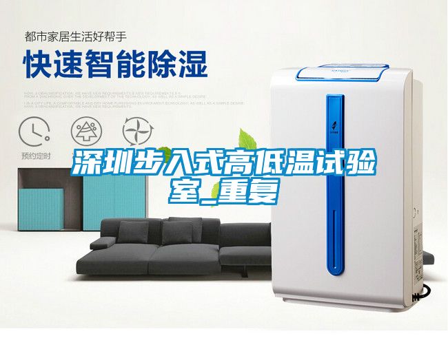 深圳步入式高低温试验室_重复