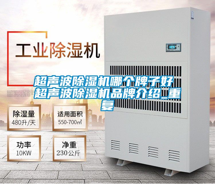 超声波除湿机哪个牌子好 超声波除湿机品牌介绍_重复