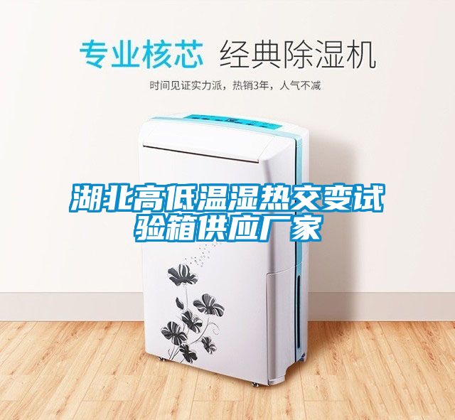 湖北高低温湿热交变试验箱供应厂家