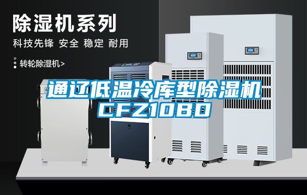 通辽低温冷库型除湿机CFZ10BD