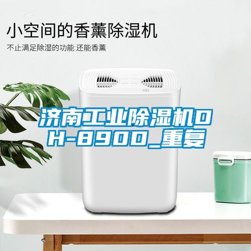 济南工业除湿机DH-890D_重复